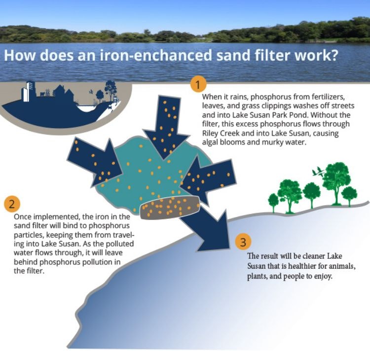 Diagram explaining how an iron-enhanced sand filter cleans phosphorus from water, promoting a cleaner Lake Susan.
