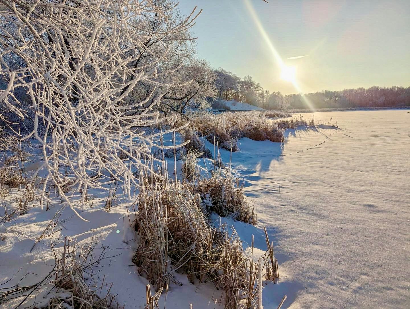 A frost-covered landscape with trees, snow-covered ground, and a bright sun in a clear sky.