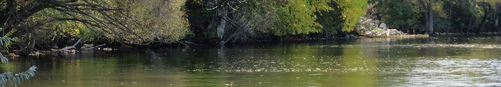 A tranquil river scene with lush greenery and a kayak in the distance.