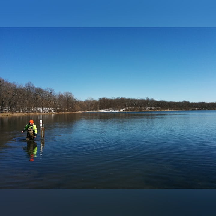 Person in high-visibility jacket standing in water near a post, with trees at the shore and a clear blue sky.