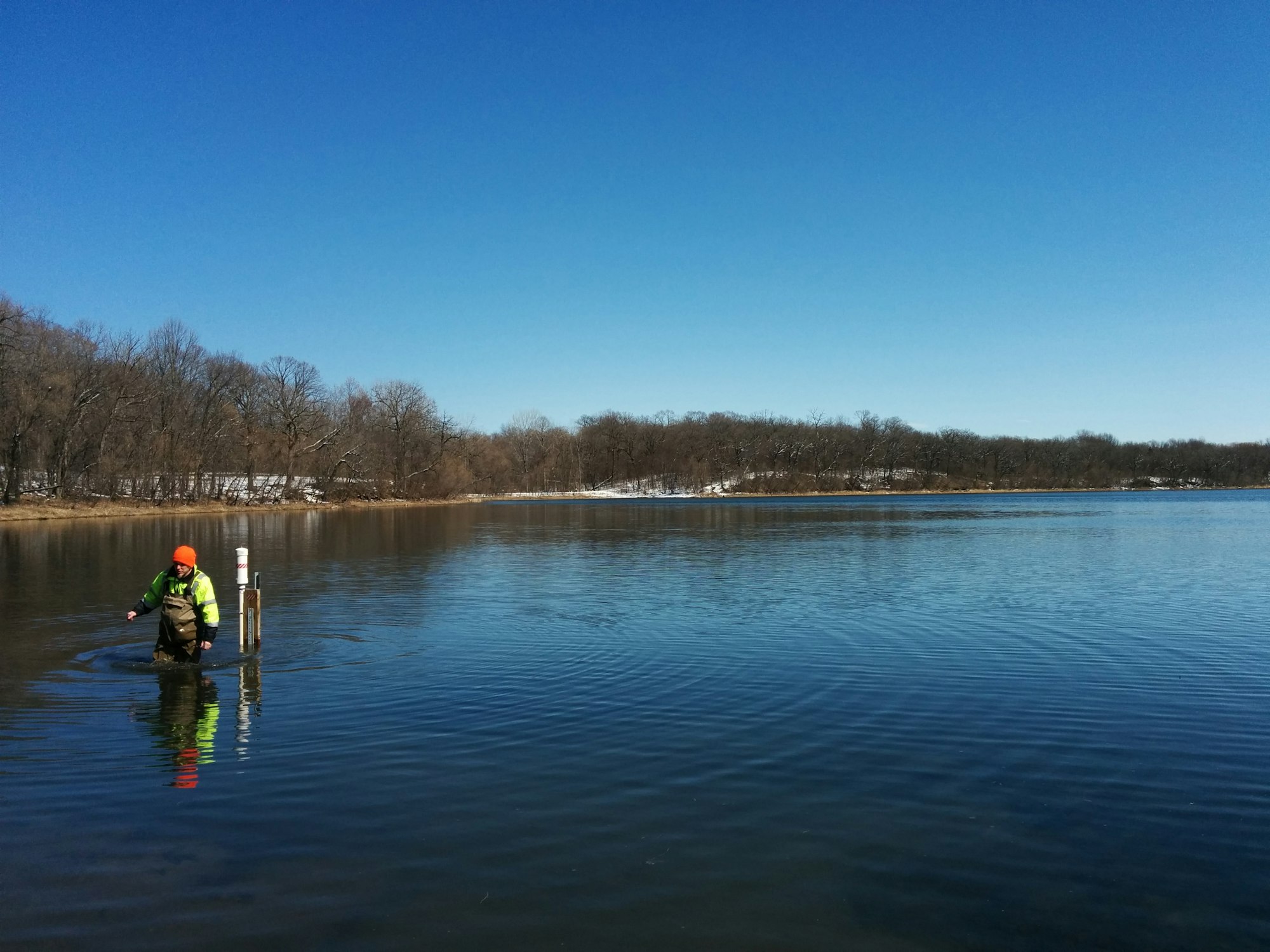 Person in high-visibility jacket standing in water near a post, with trees at the shore and a clear blue sky.