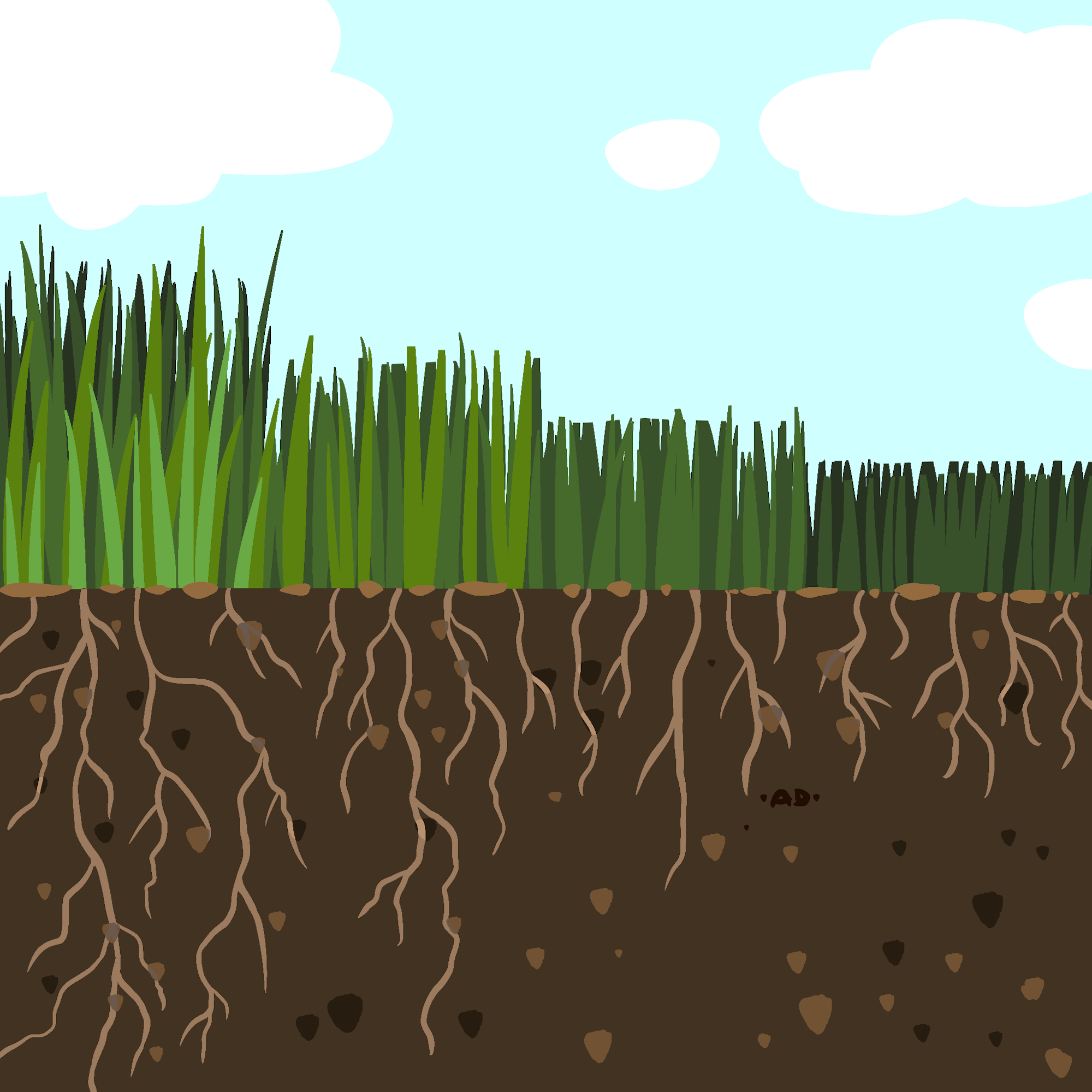 Illustration of grass above ground with roots extending into the soil. Clouds in the sky.