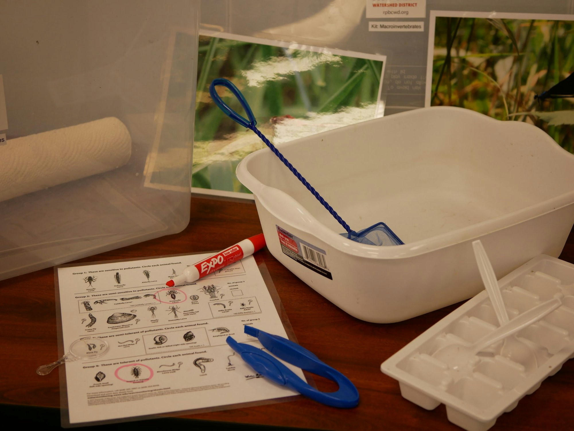 Educational materials on macroinvertebrates, hand lens, white trays, marker, and a mesh net for collecting specimens.