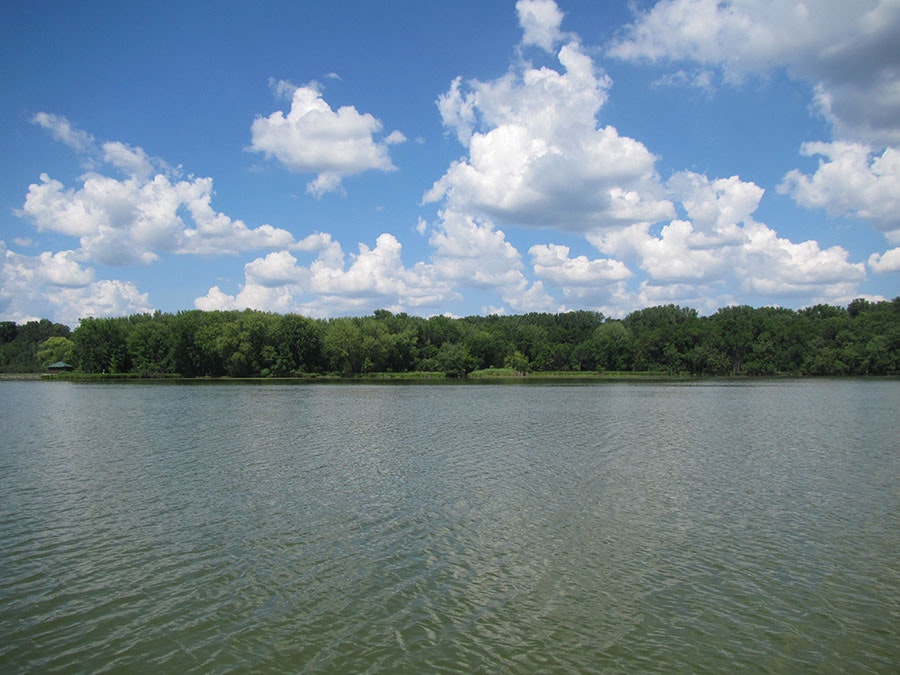 A serene lake with a tree line under a blue sky dotted with fluffy clouds.