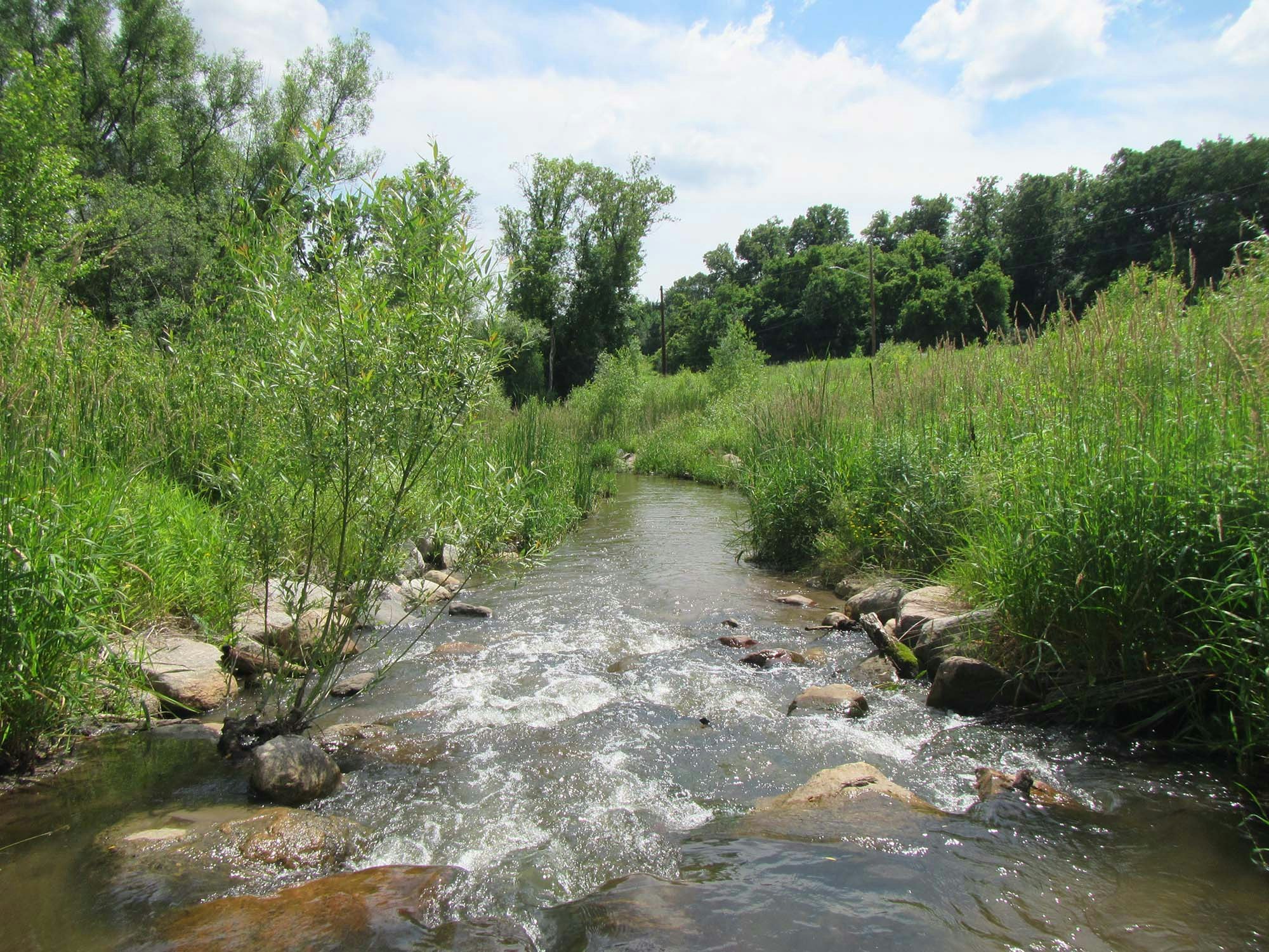 A peaceful stream flowing through a lush green landscape under a blue sky with clouds.