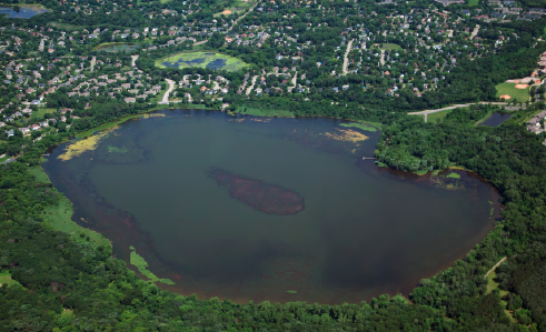 Aerial view of a lake surrounded by greenery and residential areas.
