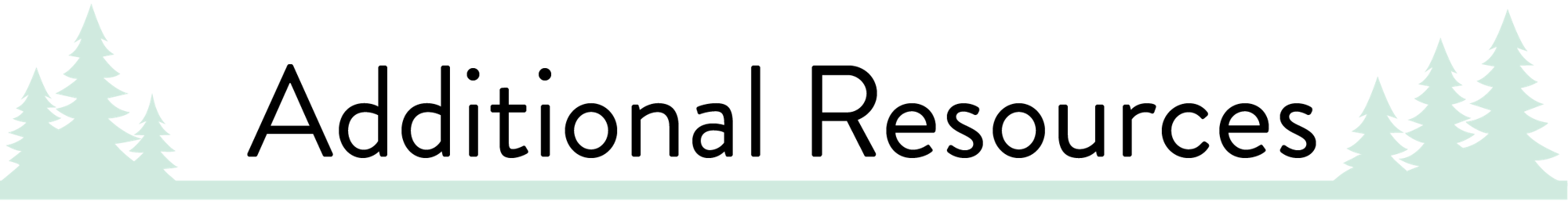 A silhouette of evergreen trees against a dark background.