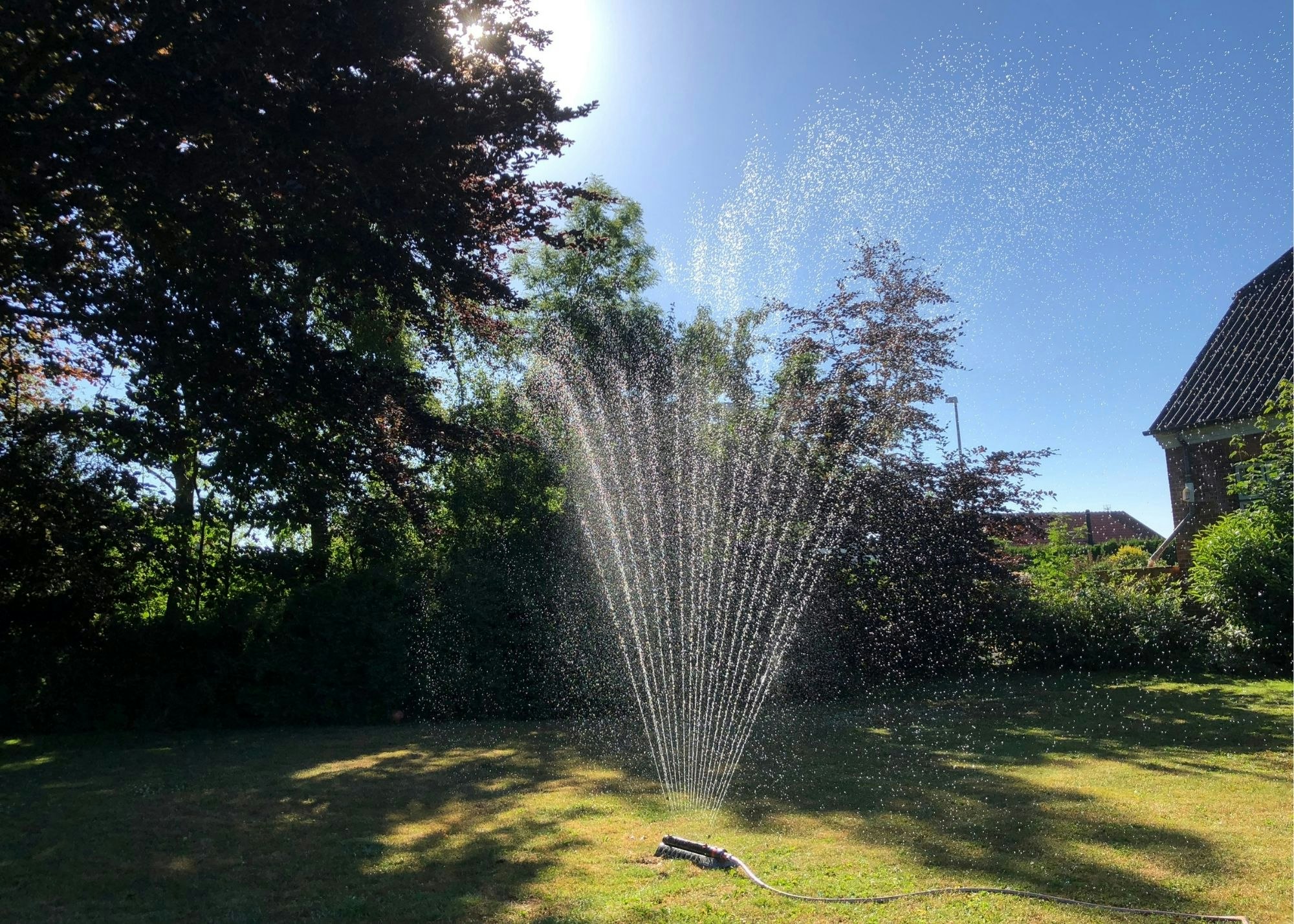 A sprinkler watering a garden on a sunny day, with trees and a house in the background.