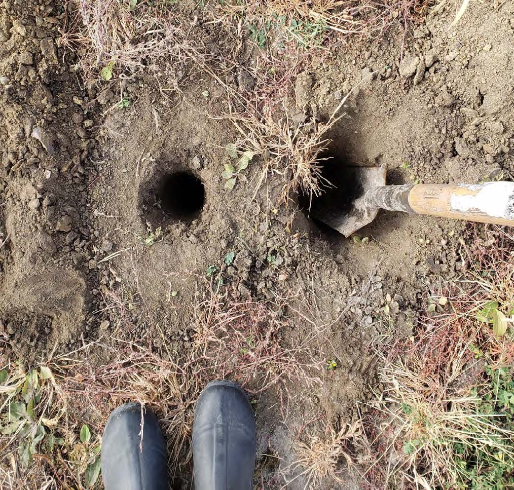 A hole in the ground, a shovel, and someone's feet in rubber boots.