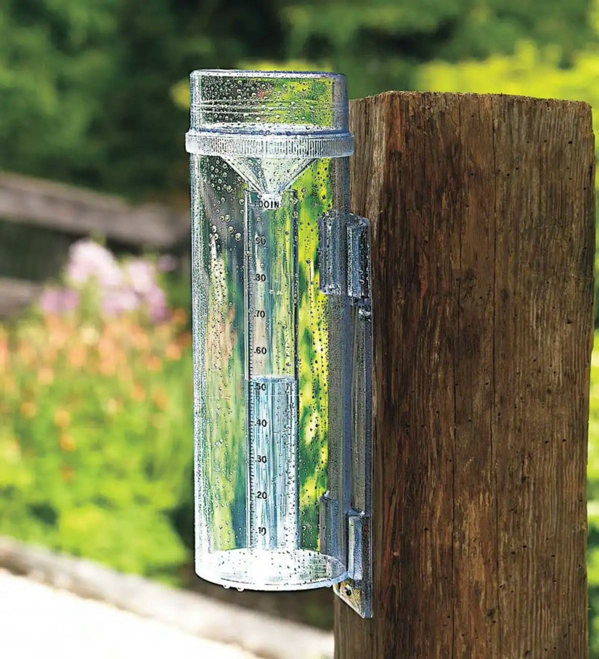 A rain gauge attached to a wooden post showing collected water measurements, with a garden background.