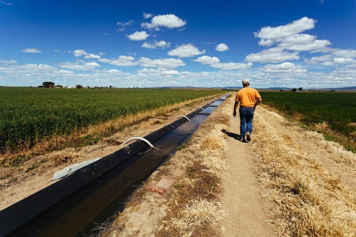 Photo of a man walking along a water channel on a farm