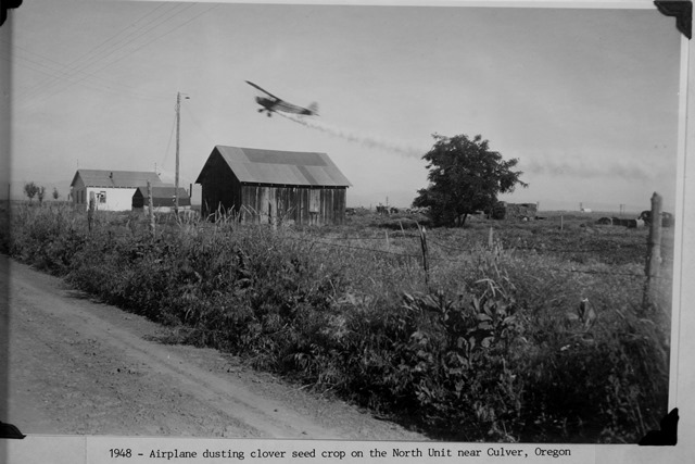 Photo and airplane dusting clover seed crop 1948: November 20, 2012 NUID History_019