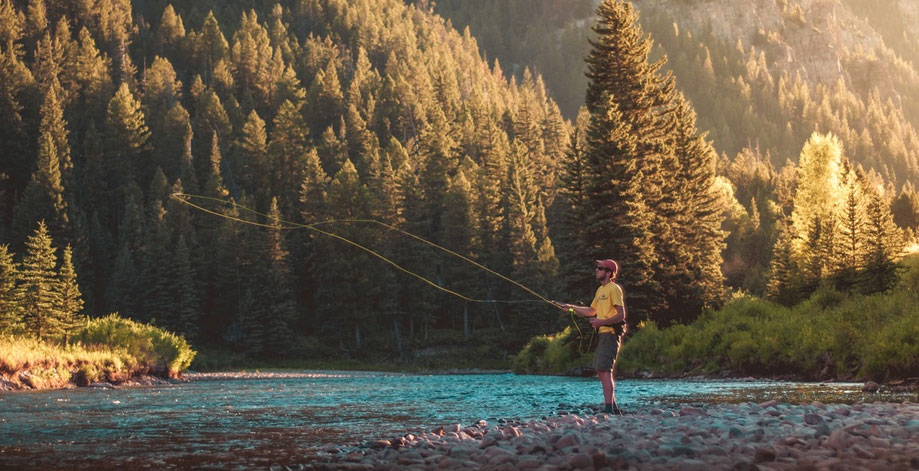 Photo of a person fly fishing