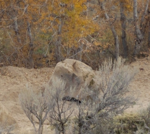 Photo of 58-11 PRE-WORK: EARTH REMOVAL 12