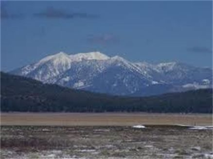 Photograph of snow topped Mountain