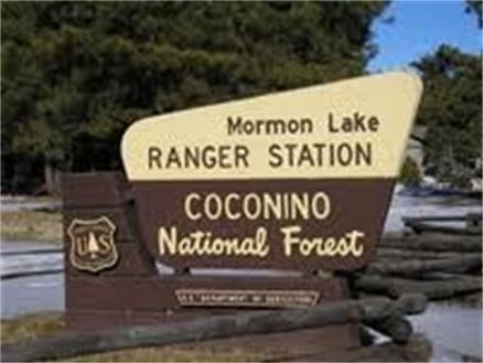 Mormon Lake Ranger Station/ Coconino National Forest Sign