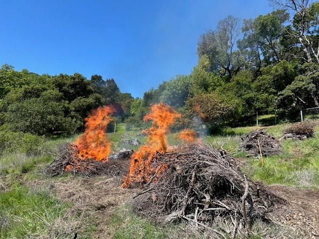 Controlled burns of brush piles in a rural area, set against a blue sky and surrounding greenery. Safety measures likely in place.