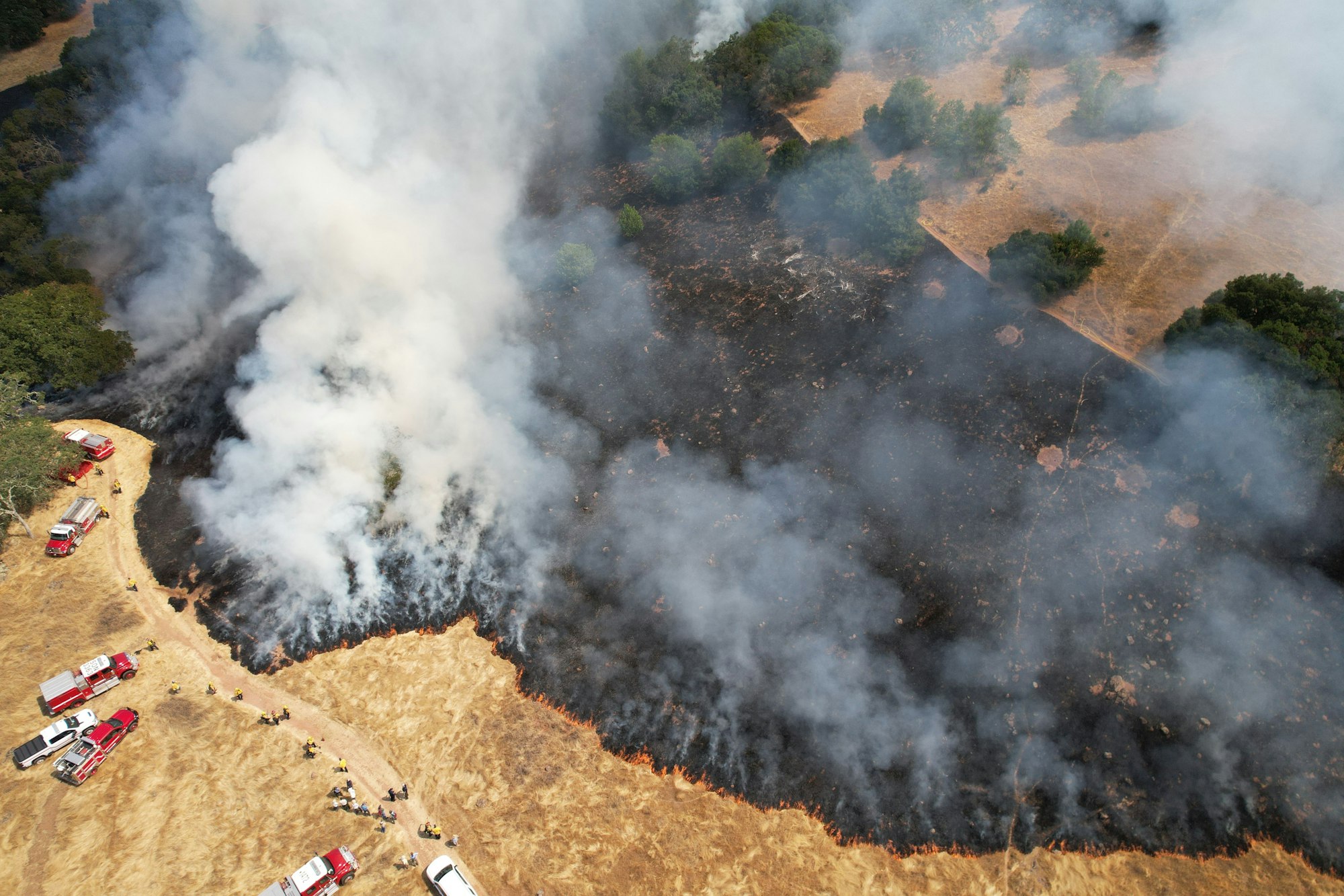 Aerial view of a wildfire with smoke, fire trucks, and firefighters working in a field.