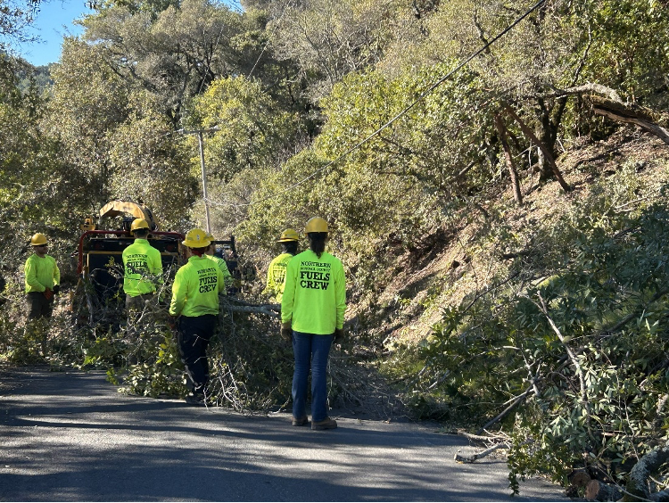 A crew in bright yellow shirts is clearing branches from a road, possibly for wildfire prevention or maintenance.