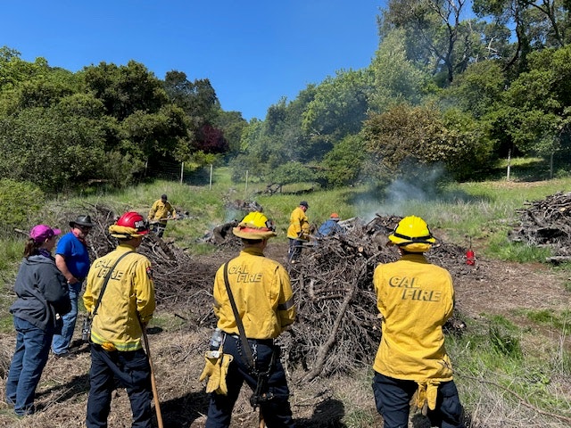 Firefighters from CAL FIRE manage controlled burns among forestry and greenery, with a focus on wildfire prevention.