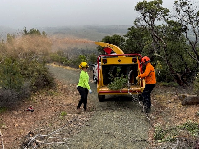 Two workers in safety gear are loading branches into a chipper truck on a dirt road in a wooded area. Fog is present.