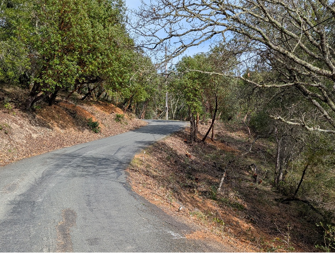 A winding, narrow road surrounded by trees and shrubs, indicating a serene, natural landscape.
