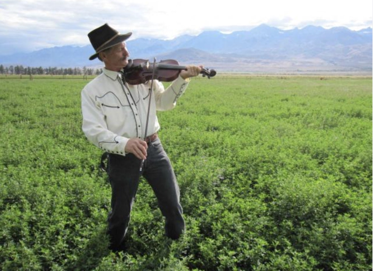 A person in a cowboy hat plays a violin in a green field with mountains in the background.