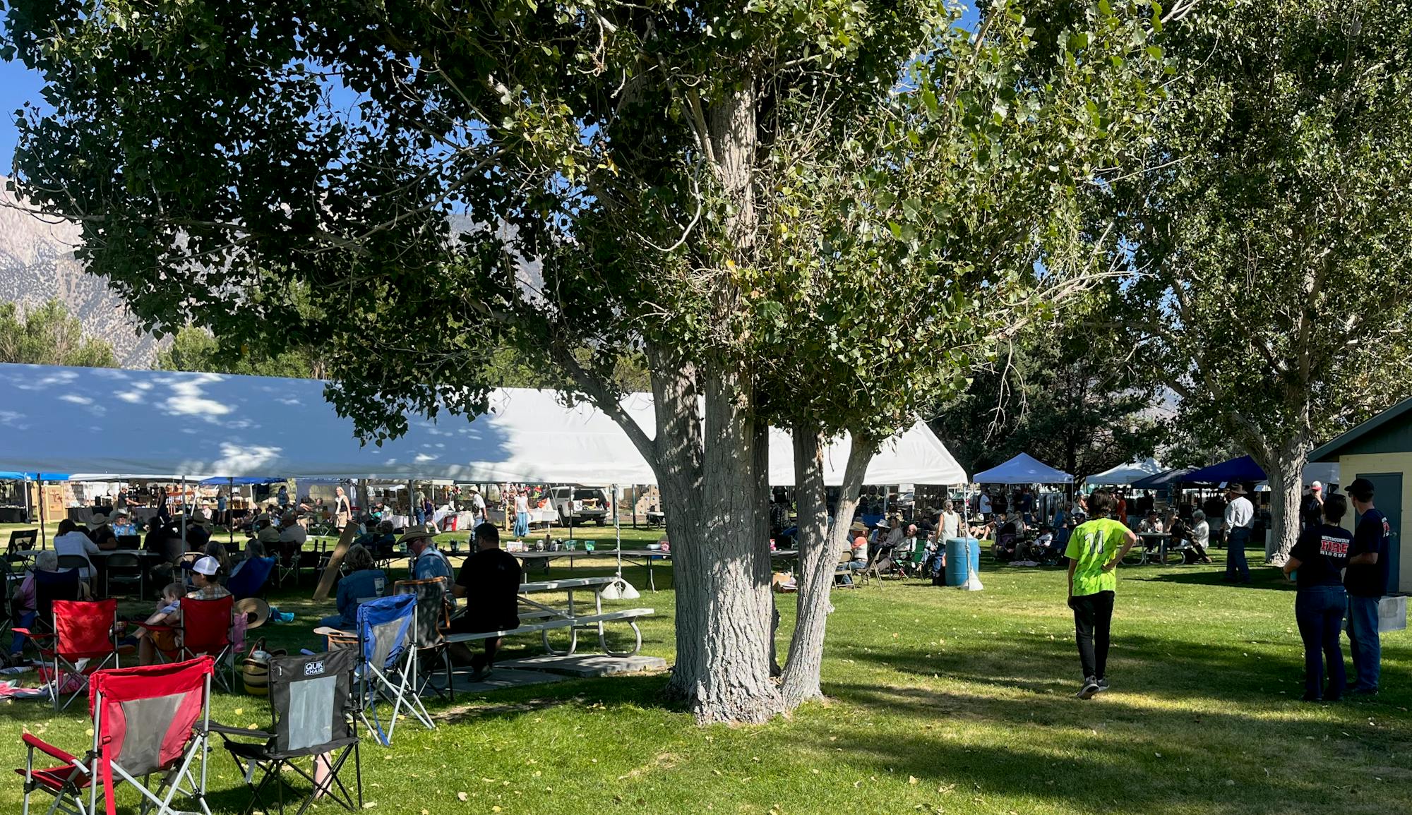 Outdoor gathering with people sitting under tents and around tables in a park, surrounded by trees and open grass.