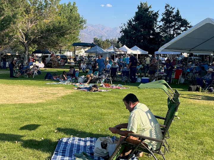 People relaxing on a grassy area with picnic blankets, chairs, and tents in a park, likely during an event.