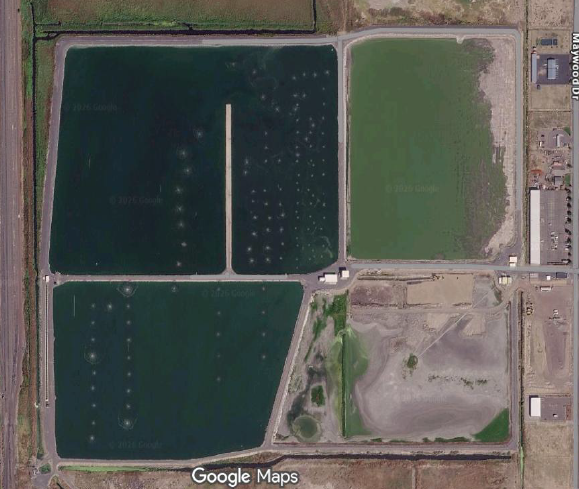 The image shows an aerial view of a large rectangular area with multiple ponds or water bodies, some appearing green, with adjacent development.
