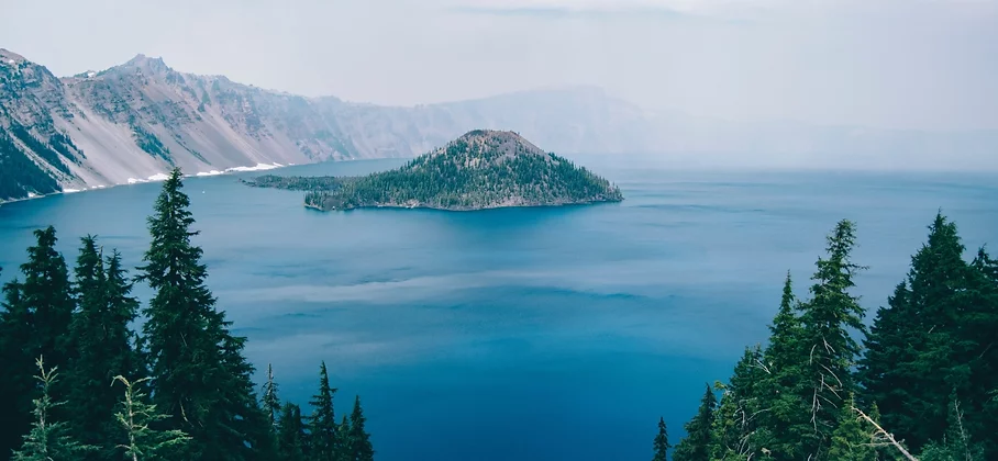 May contain: land, nature, outdoors, shoreline, water, sea, ocean, coast, tree, and plant