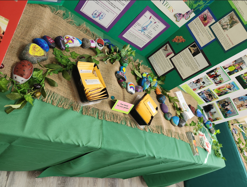 A display with painted rocks, informational boards, plants, and packets labeled "Free Seeds for Your Garden."
