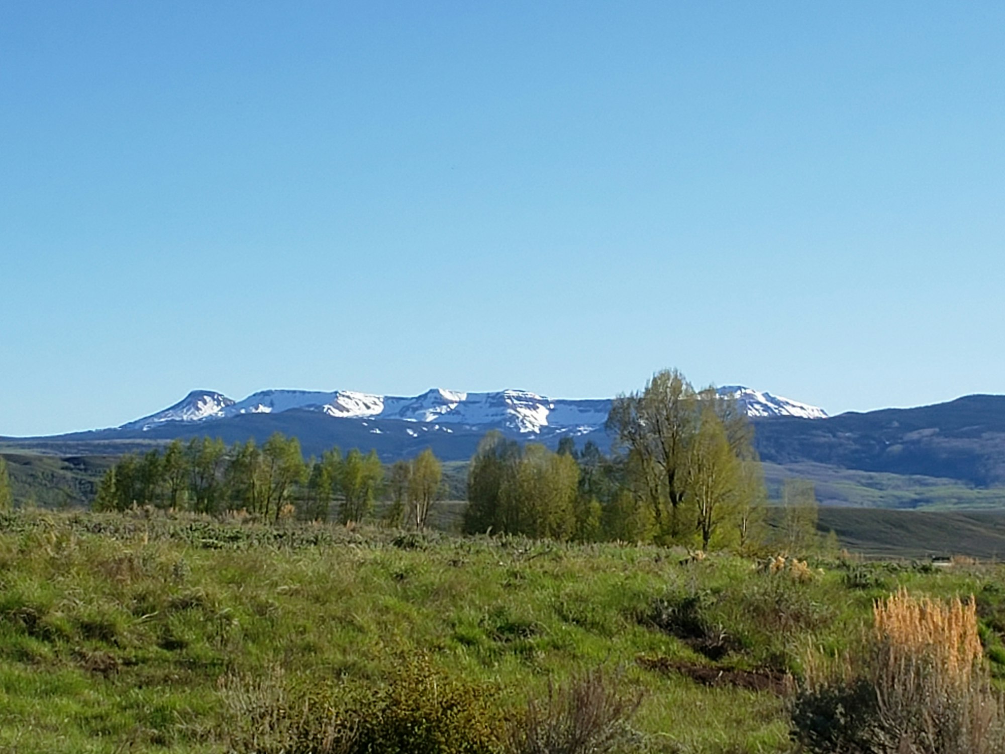 A scenic view of snow-capped mountains against a clear blue sky, with lush green grass and trees in the foreground.
