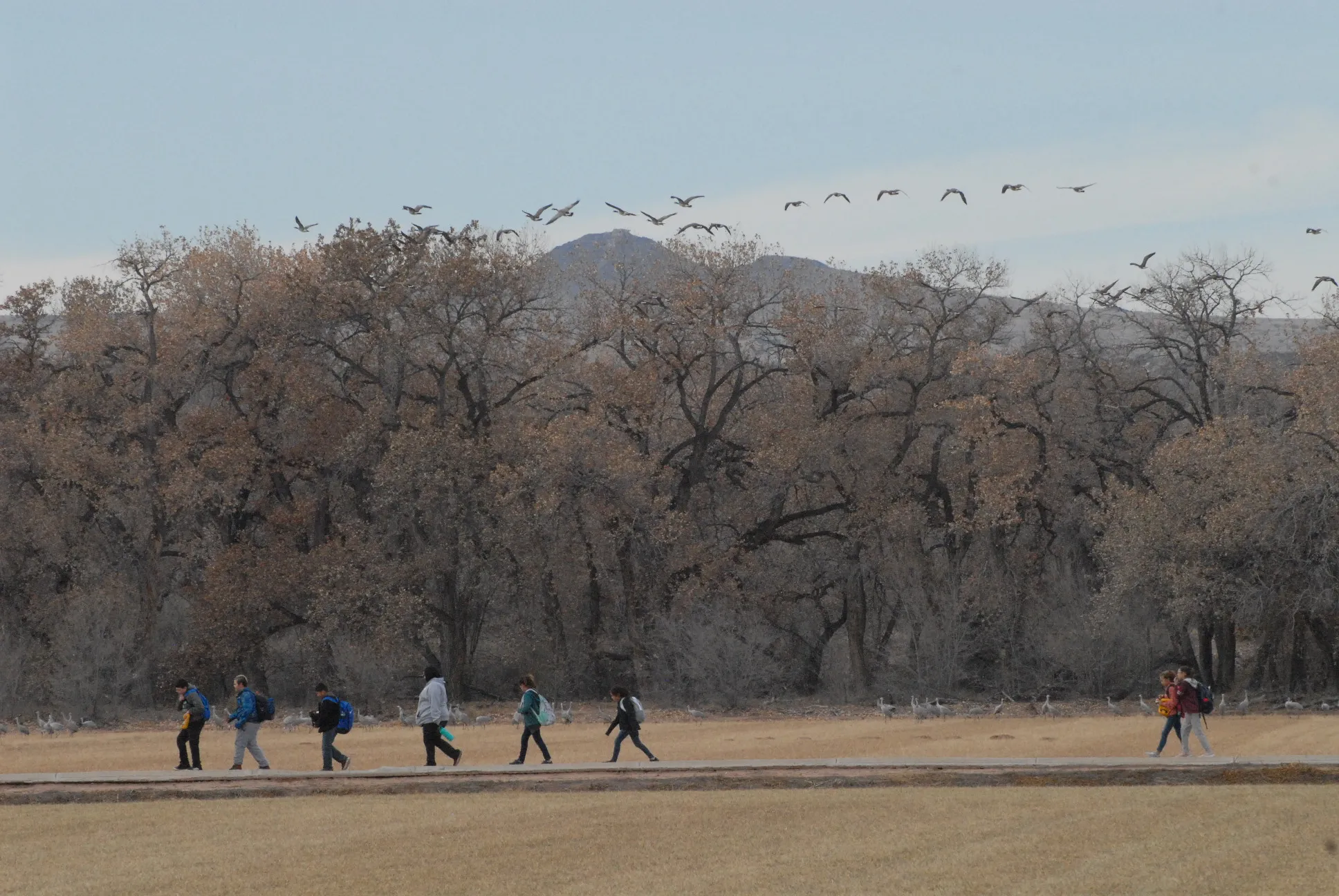 May contain: person, walking, people, plant, tree, animal, bird, grass, nature, outdoors, park, clothing, footwear, and shoe