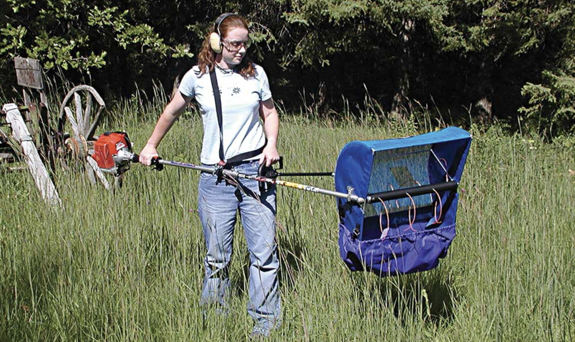 A person with a weed trimmer and a portable catch bag in a grassy field.