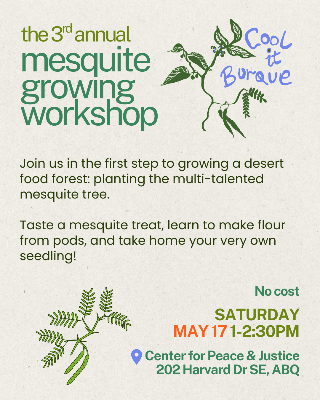 Mesquite growing workshop on May 17, 1-2:30 PM at Center for Peace & Justice, ABQ. Learn, taste, and take home a seedling. No cost.