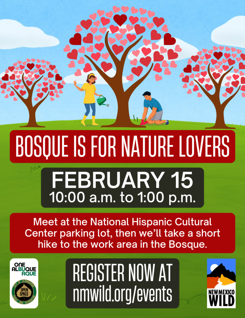 Event for nature lovers on February 15, 10 a.m.–1 p.m. at Bosque. Register at nmwild.org/events.