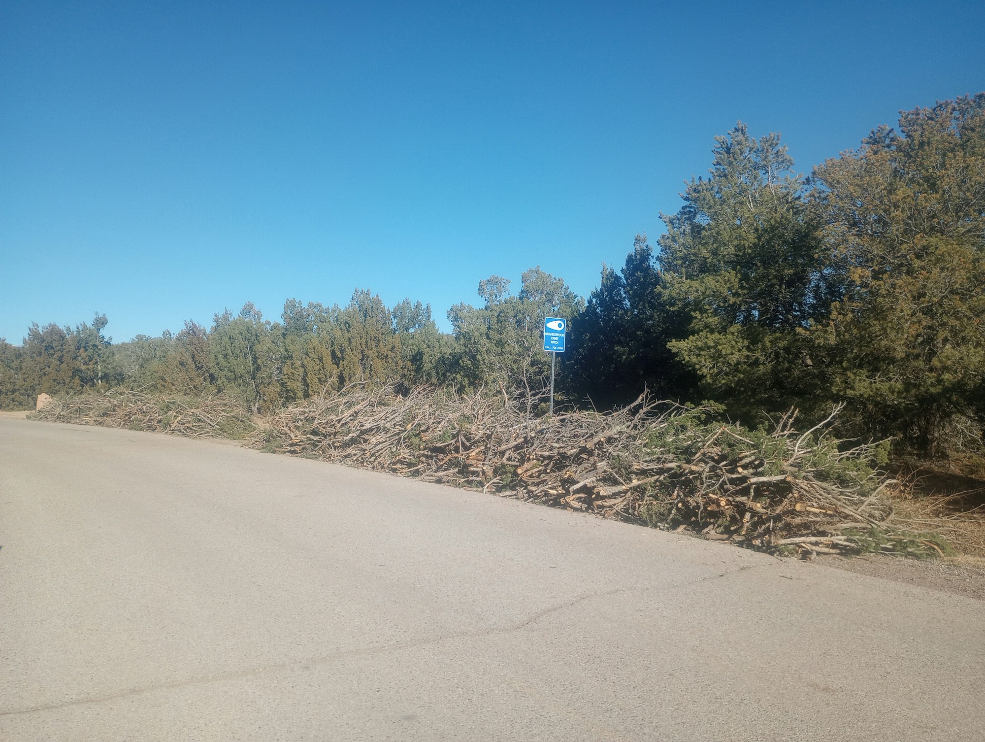 Large pile of cut tree branches stacked along a roadside, with trees and clear blue sky in the background.