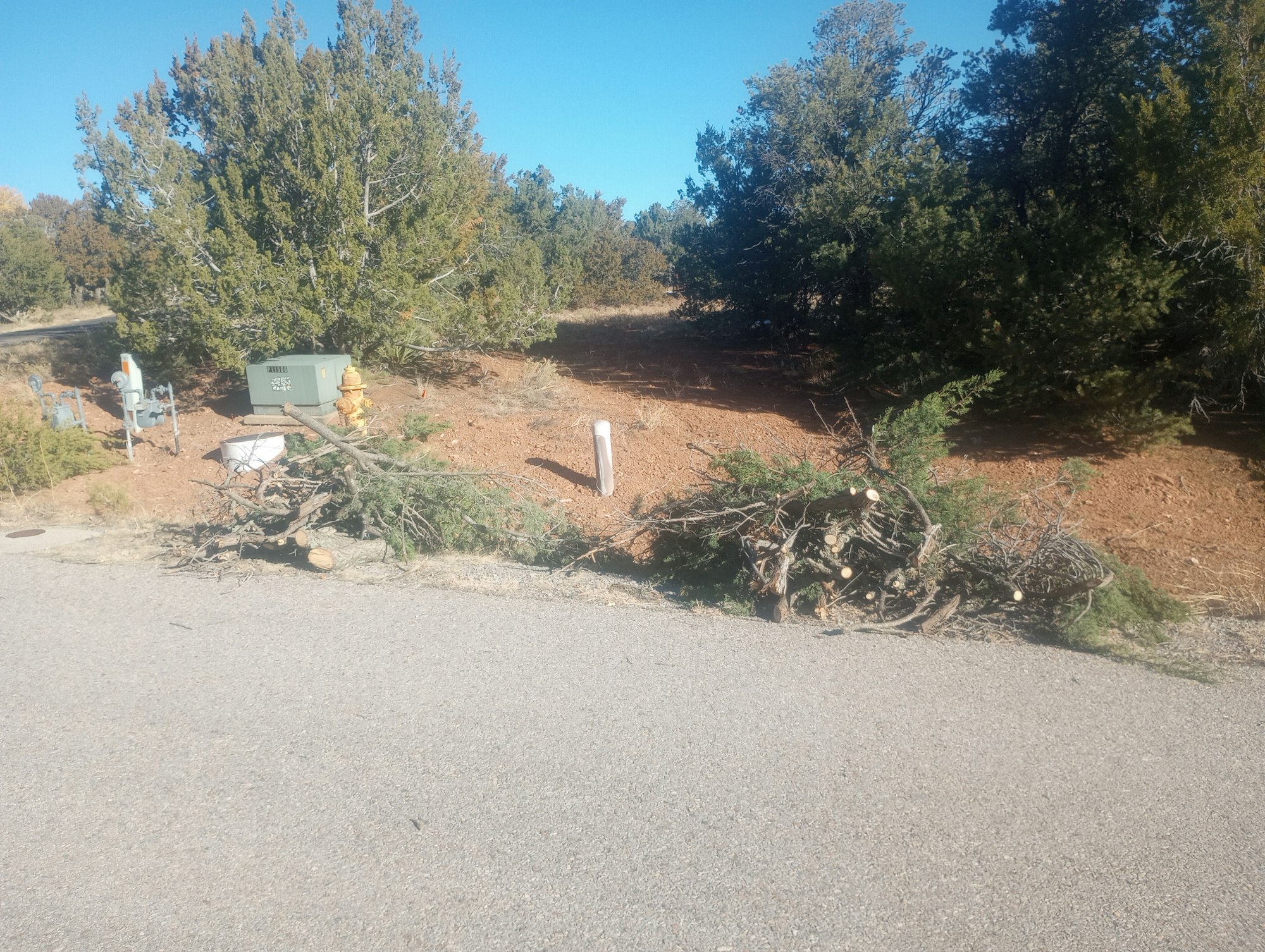 Cut tree branches piled on the roadside near a green electrical box, hydrant, and bushes.