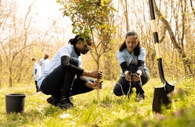 Two individuals planting a tree, with gardening tools nearby, in an outdoor setting.