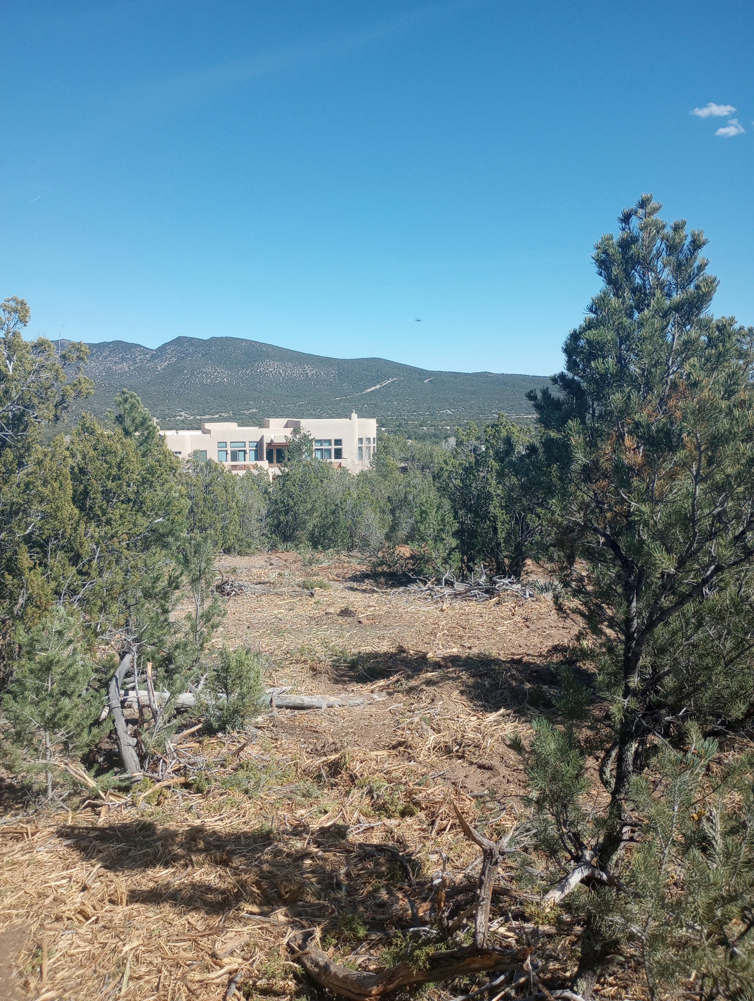 A hillside with trees, a building visible in the midground, and a mountain in the background under a clear blue sky.