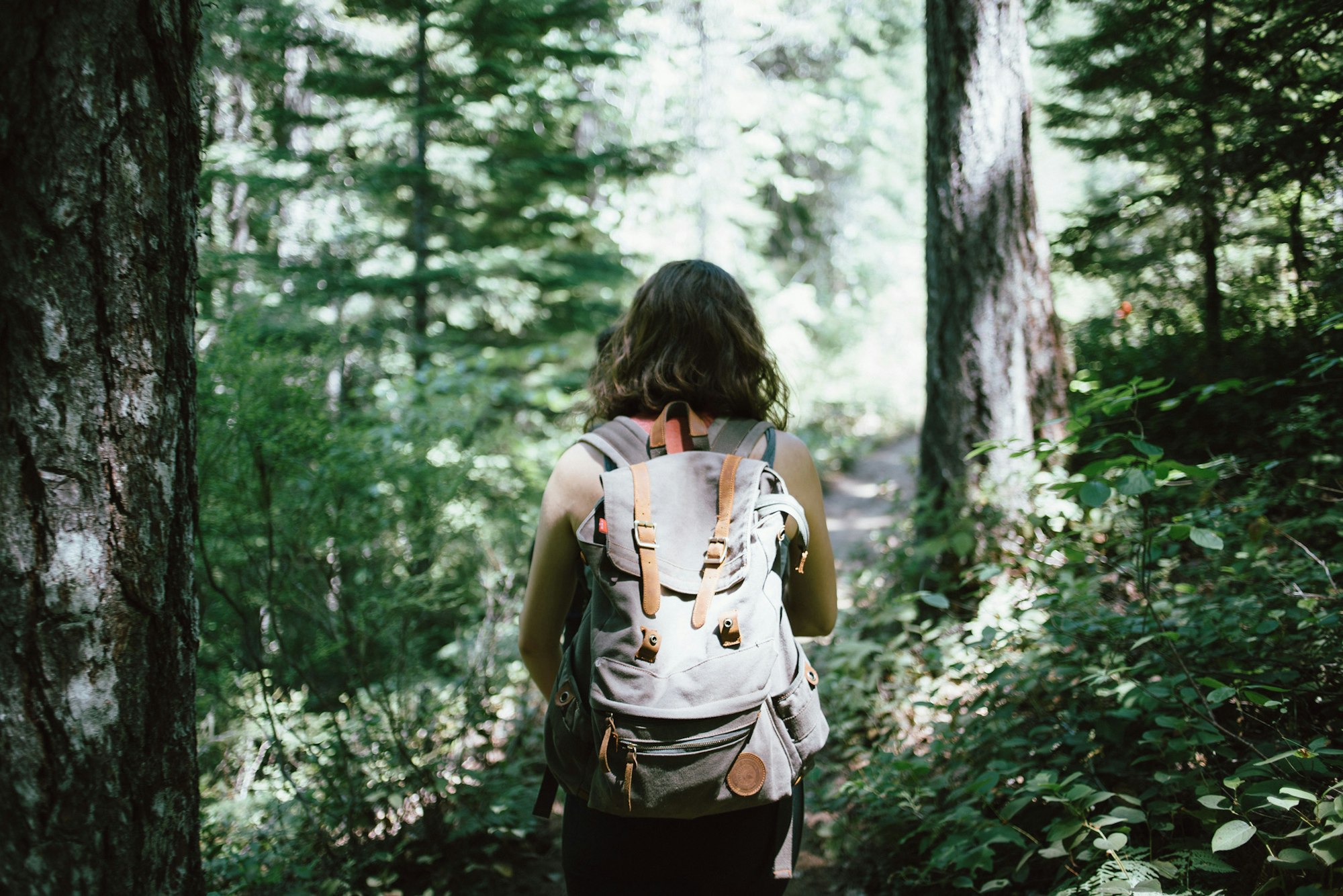 A person with a backpack walking through a lush green forest.