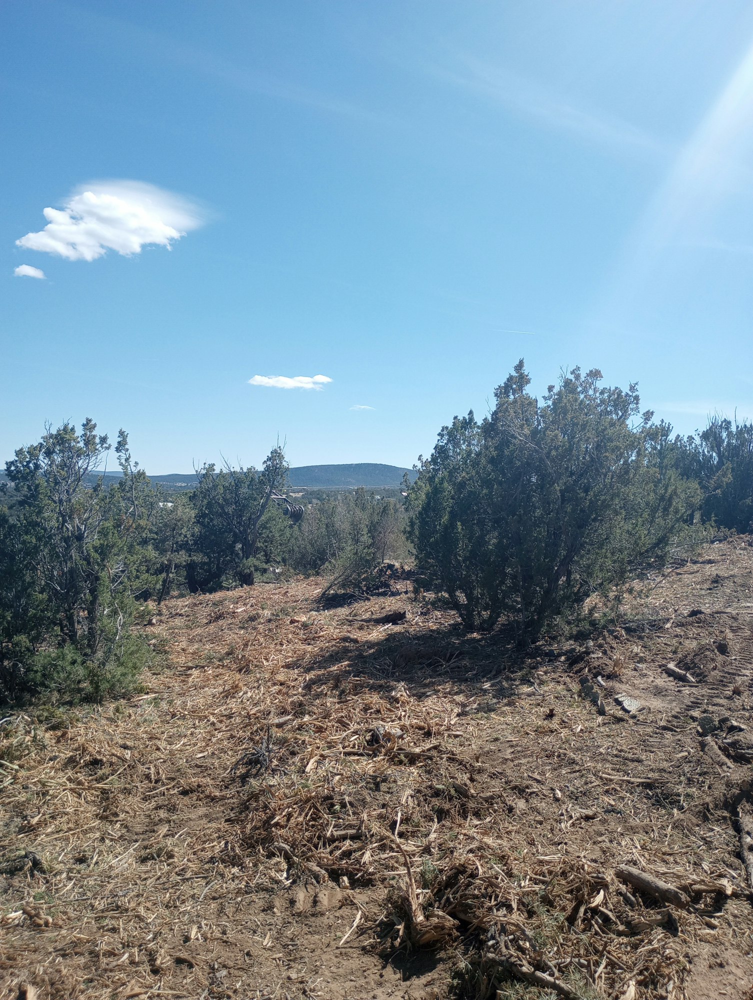 Landscape with dry ground, sparse vegetation, and a clear blue sky with a few clouds.