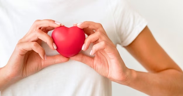 Person holding a small red heart in their hands.