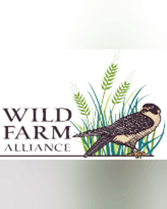 May contain: bird, animal, hawk, accipiter, and buzzard