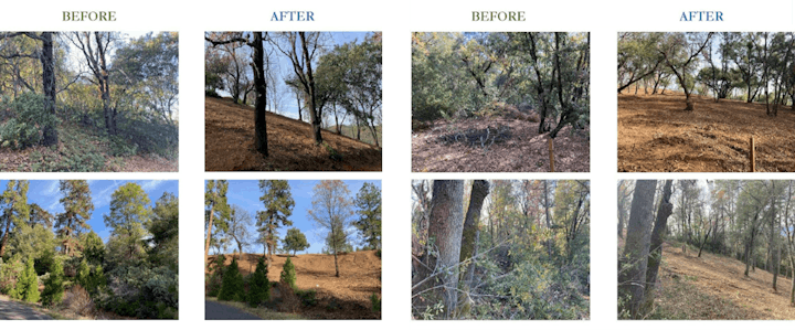 Four "before and after" photos showing areas that have been cleared of underbrush and debris.
