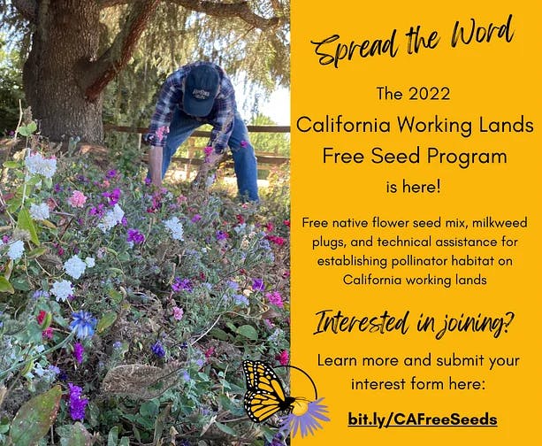 May contain: garden, outdoors, person, and human