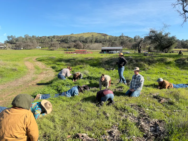 A group of people performs activities on grass in a rural setting, with buildings and hills in the background.