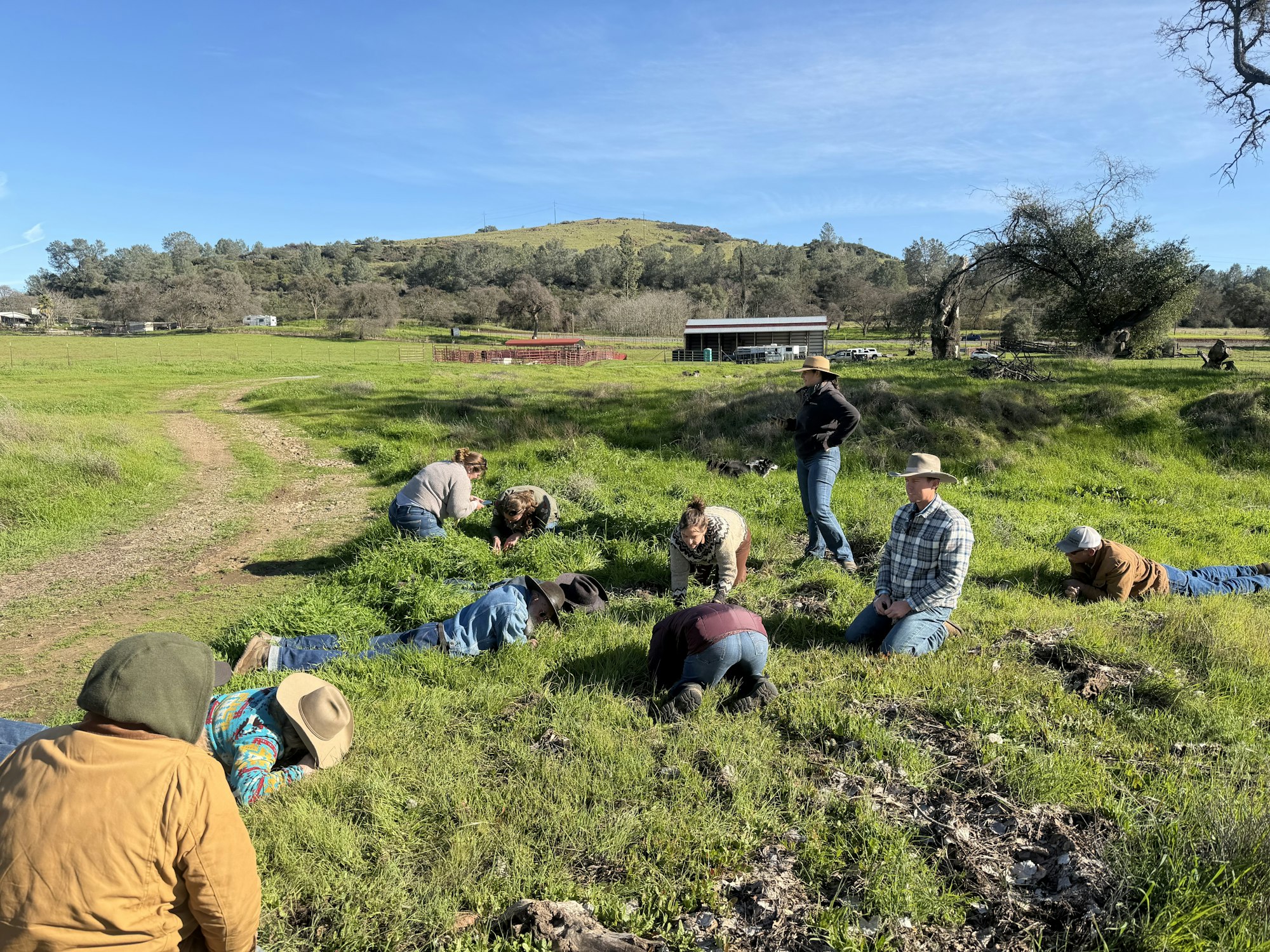A group of people performs activities on grass in a rural setting, with buildings and hills in the background.