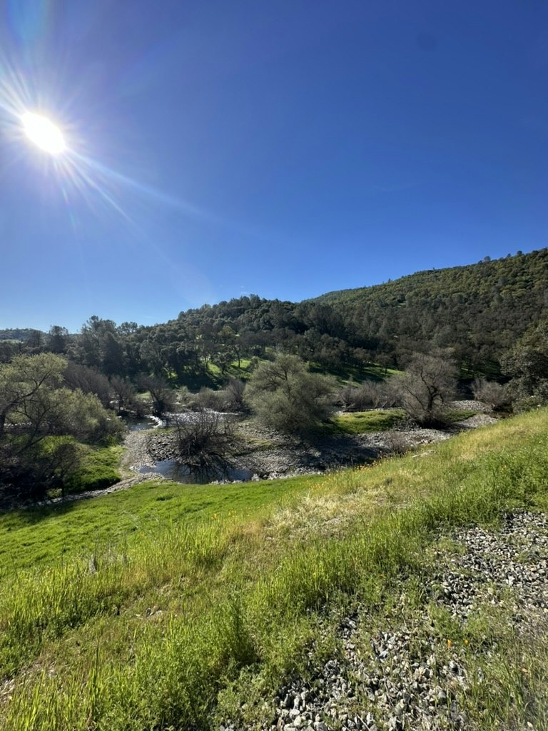 A sunny landscape featuring hills, greenery, and a rocky streambed under a clear blue sky.